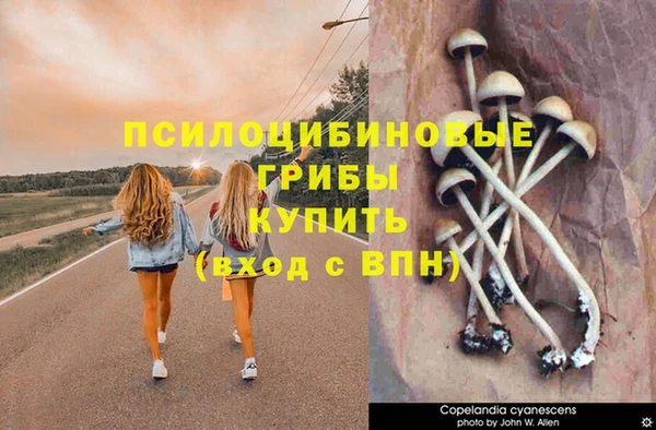 гашиш Алексин